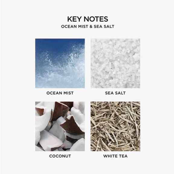 Ocean Mist & Sea Salt Reed Diffuser